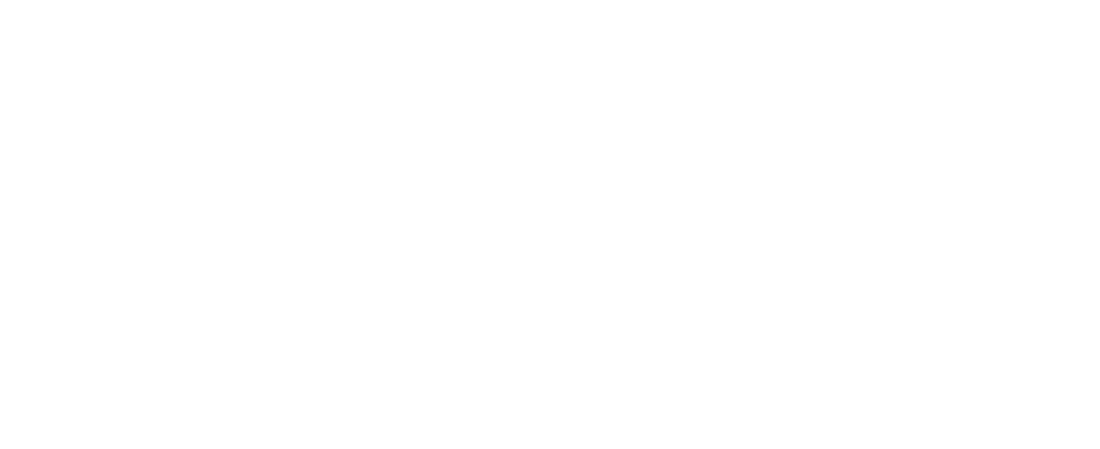 Binnopharm Group